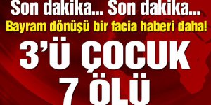 Erzincan'dan facia haberi: 3'ü çocuk 7 ölü