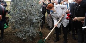 ‘Sallayın düşecekler’ diye seslenen vatandaşa Akşener’den dikkat çeken cevap