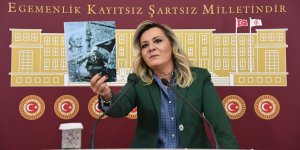 Aylin Cesur: Süleyman Demirel'e yapılan saygısızlığı kınıyorum