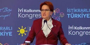 Meral Akşener çok sert: Putin’in gölgesine özenen yavru tek adamlar