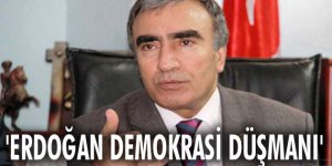 Erdoğan demokrasi düşmanı