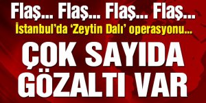 İstanbul'da da 'Zeytin Dalı' operasyonu